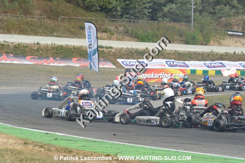 DSC_ (2084).JPG